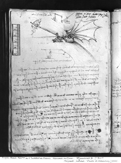 Testing the Load Tolerance of a Wing, 1487-90 by Leonardo da Vinci